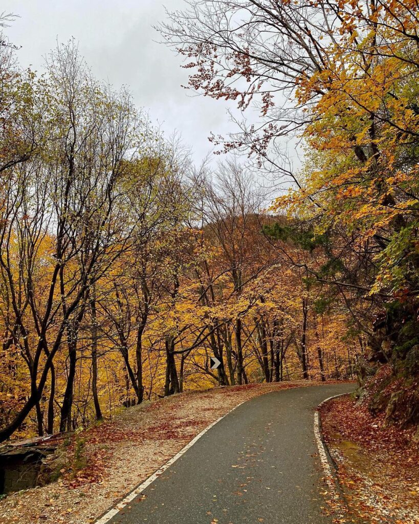 the amazing road that leads you to Dajt Park in the autumn season