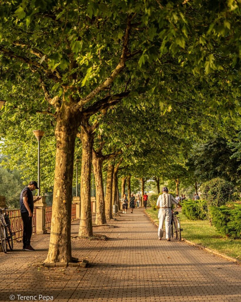 afternoon walks in Shkoder