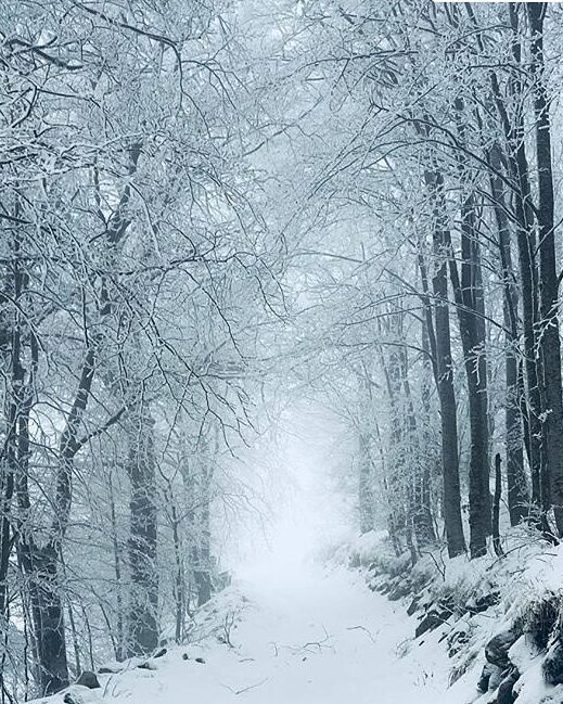 dajti park in december covered with snow