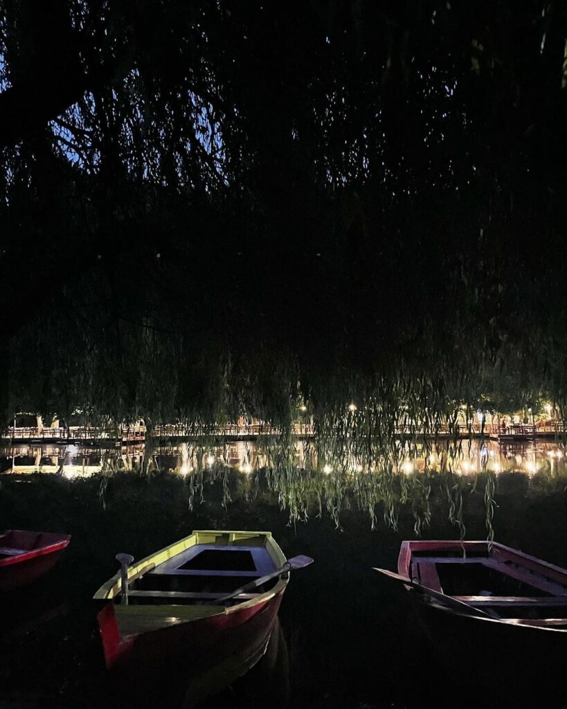 boats under night lights in pogradec city